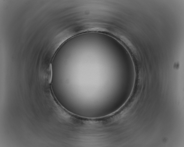 X0000092001281200709271500