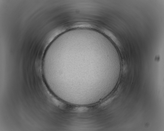 X0000092001282200709271500