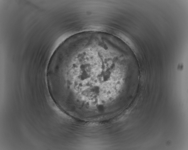 X0000092001283200709271500