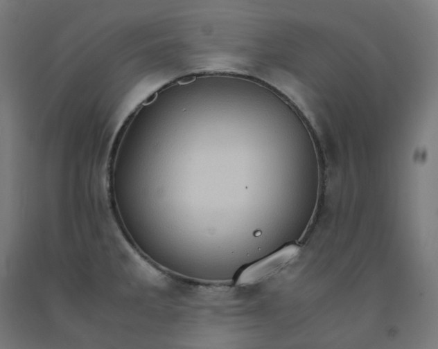 X0000092001285200709271500