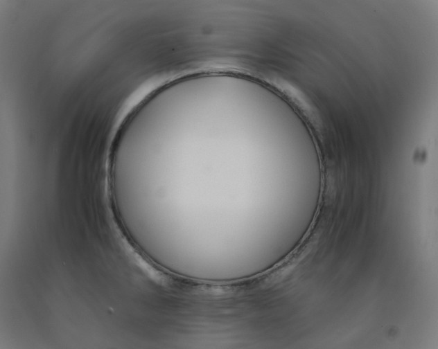 X0000092001286200709271500