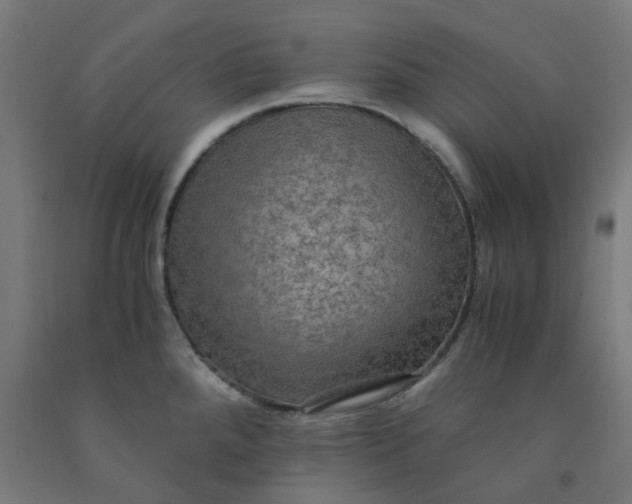 X0000092001288200709271500