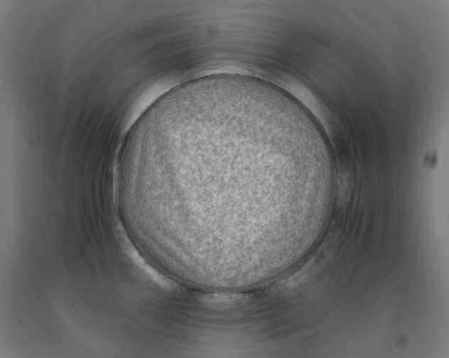 X0000092001290200709271500