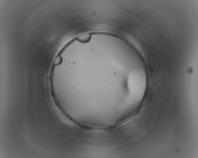 X0000092001291200709271500