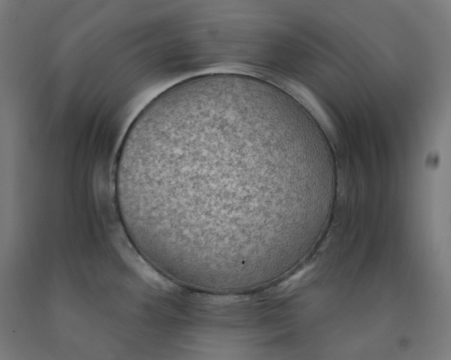 X0000092001292200709271500