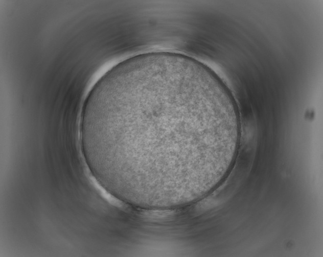 X0000092001294200709271500