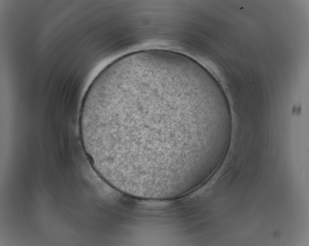 X0000092001296200709271500