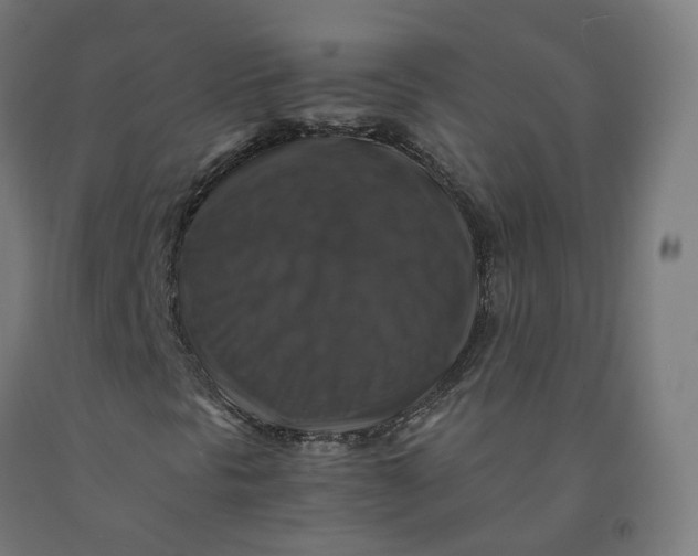 X0000092001297200709271459