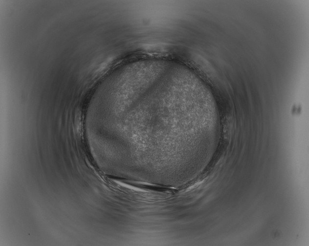 X0000092001298200709271459