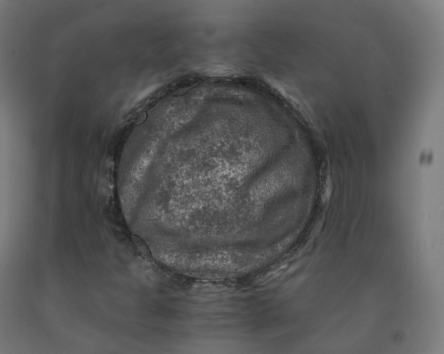 X0000092001301200709271459