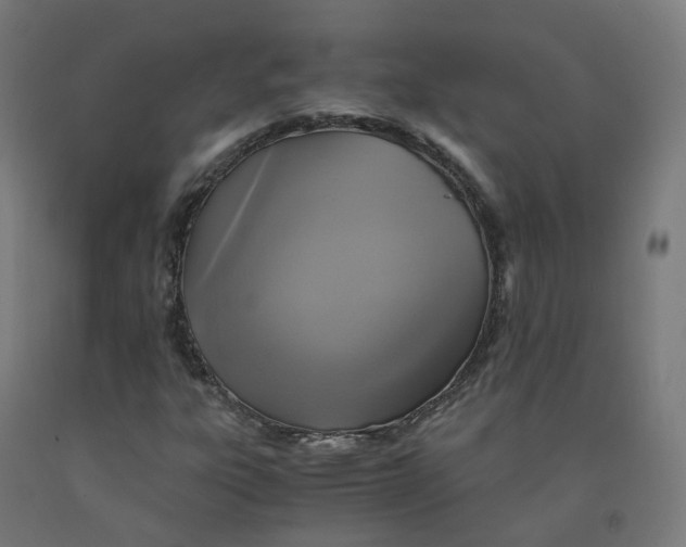 X0000092001303200709271459