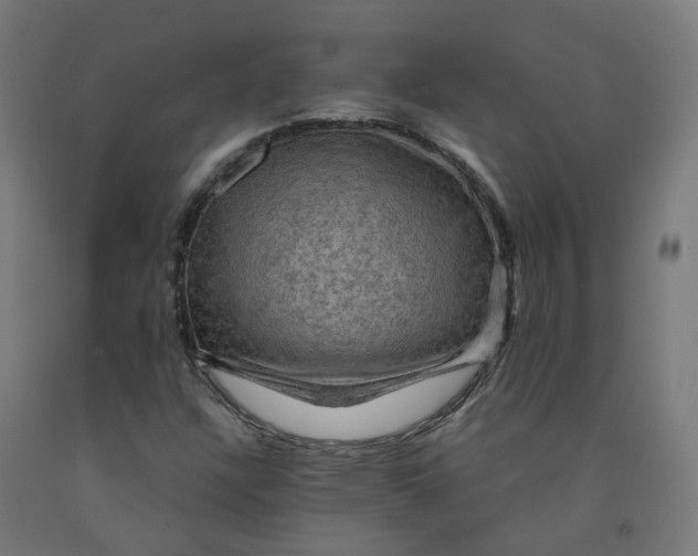 X0000092001304200709271459