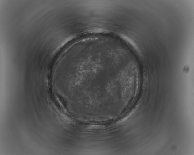 X0000092001305200709271459