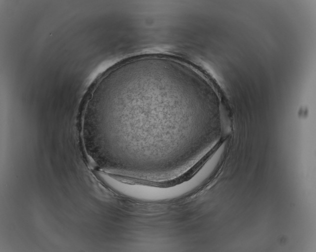 X0000092001308200709271459