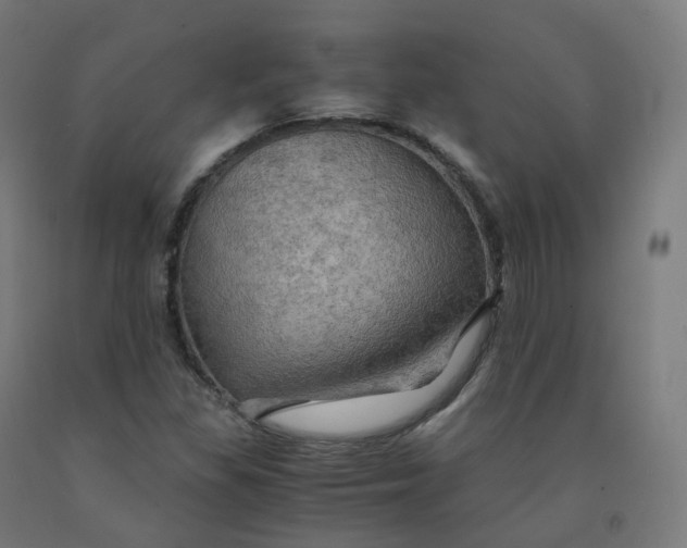 X0000092001309200709271459