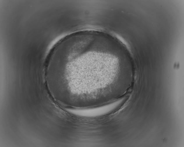 X0000092001310200709271459