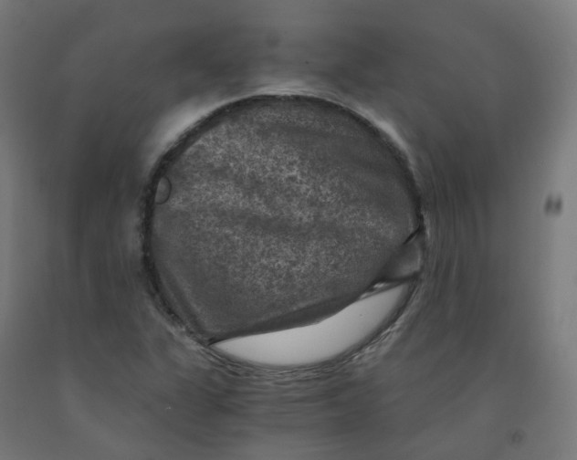 X0000092001311200709271459