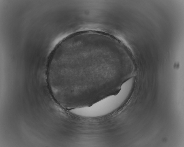 X0000092001312200709271500