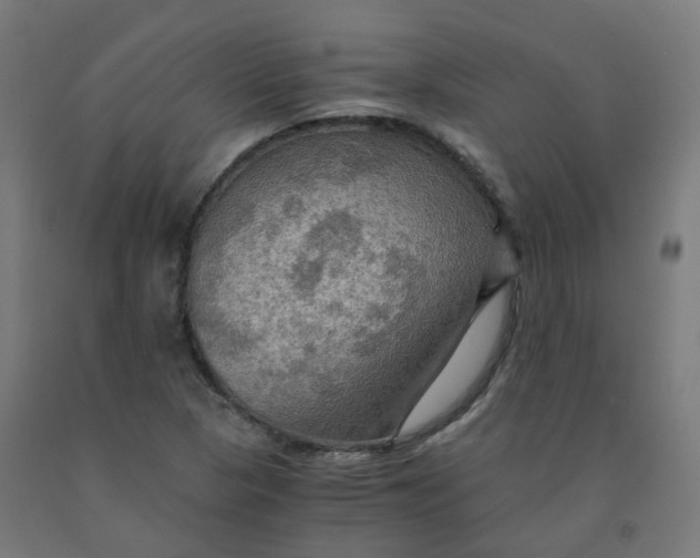 X0000092001313200709271500