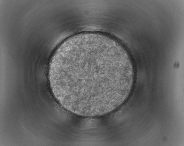 X0000092001314200709271500