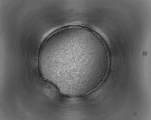 X0000092001316200709271500