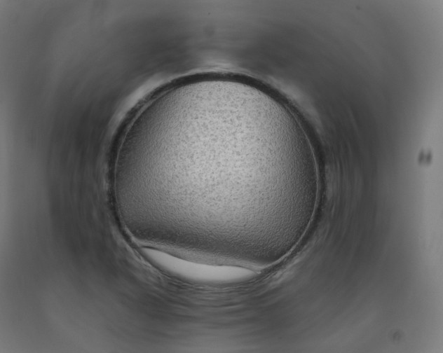 X0000092001318200709271500