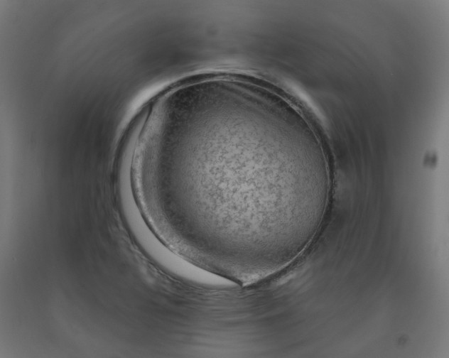 X0000092001320200709271500