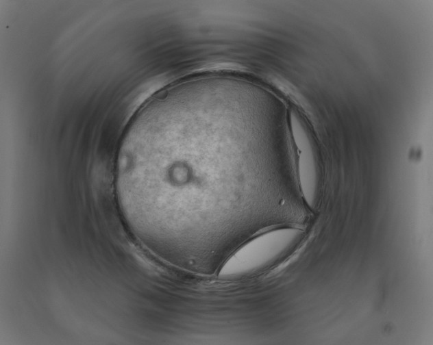 X0000092001321200709271500