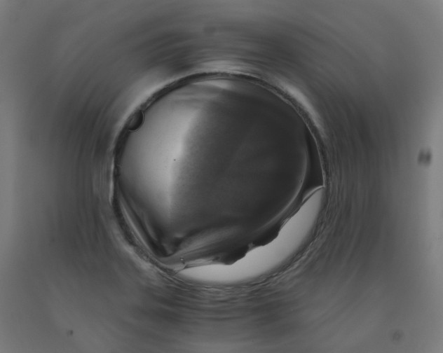 X0000092001323200709271500