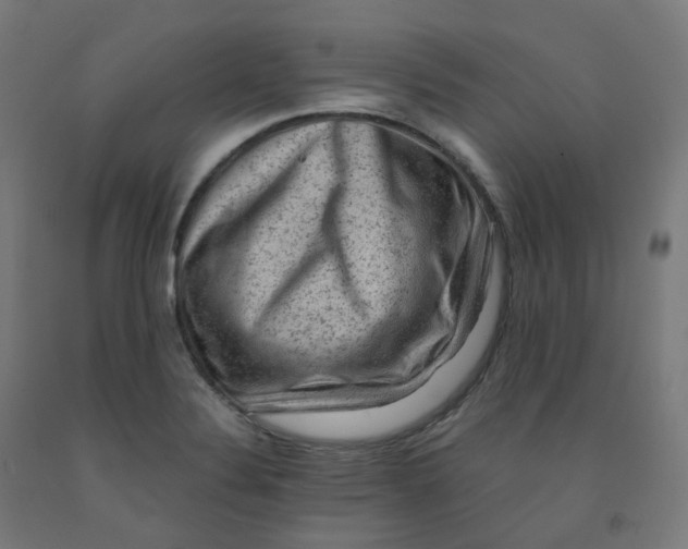 X0000092001324200709271500