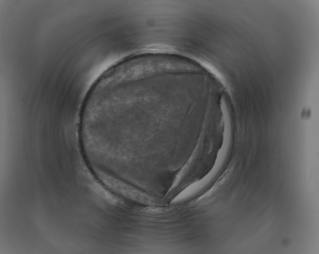 X0000092001325200709271500