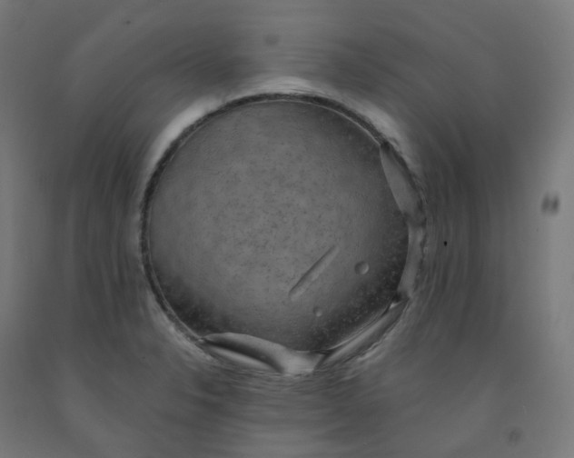 X0000092001326200709271500