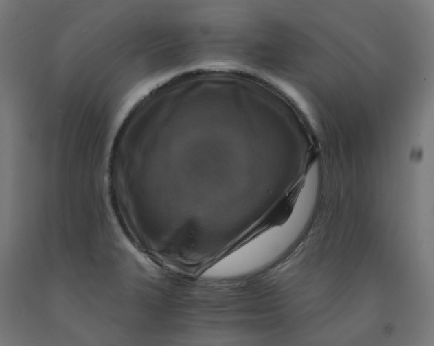 X0000092001327200709271500