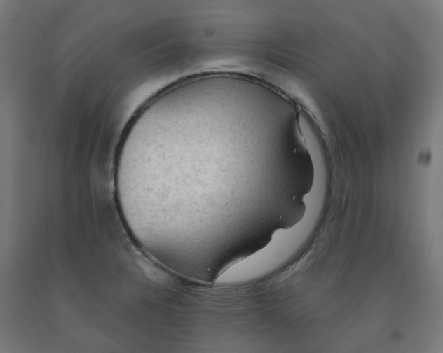 X0000092001328200709271500