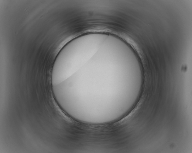 X0000092001329200709271500