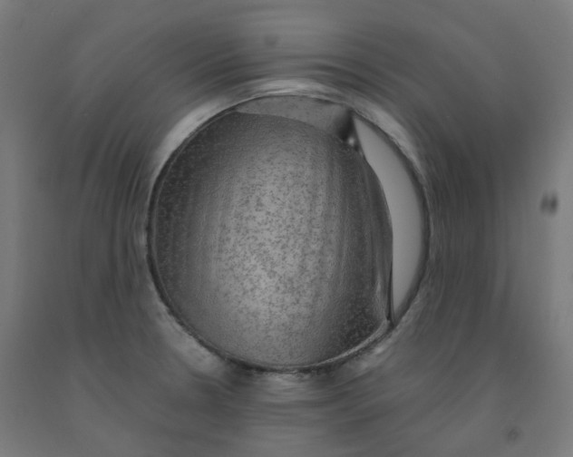 X0000092001330200709271500