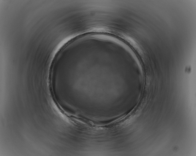 X0000092001331200709271500