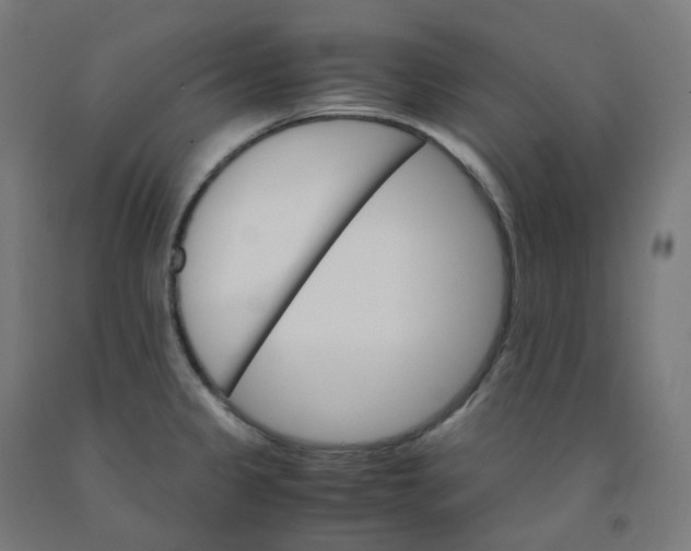 X0000092001333200709271500