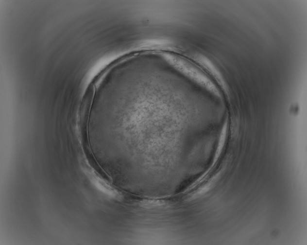 X0000092001336200709271500