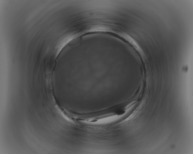 X0000092001337200709271500