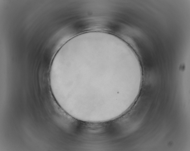 X0000092001338200709271500