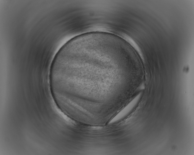 X0000092001339200709271500