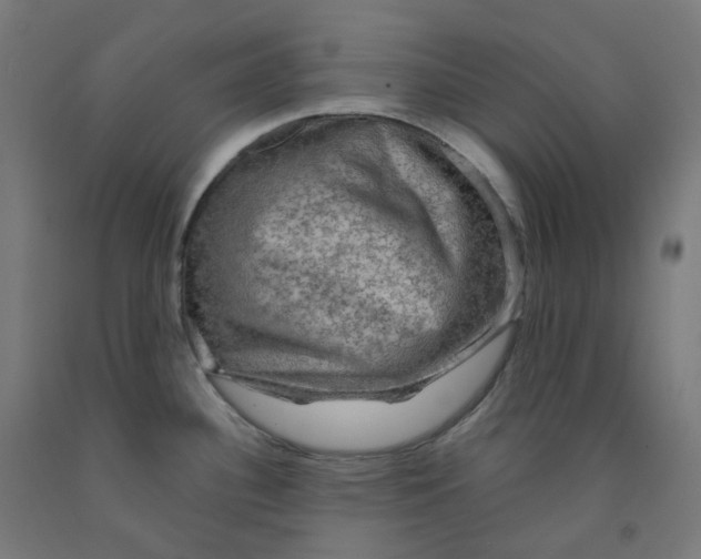 X0000092001340200709271500