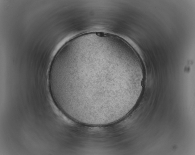 X0000092001341200709271500