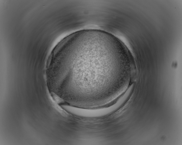 X0000092001342200709271500