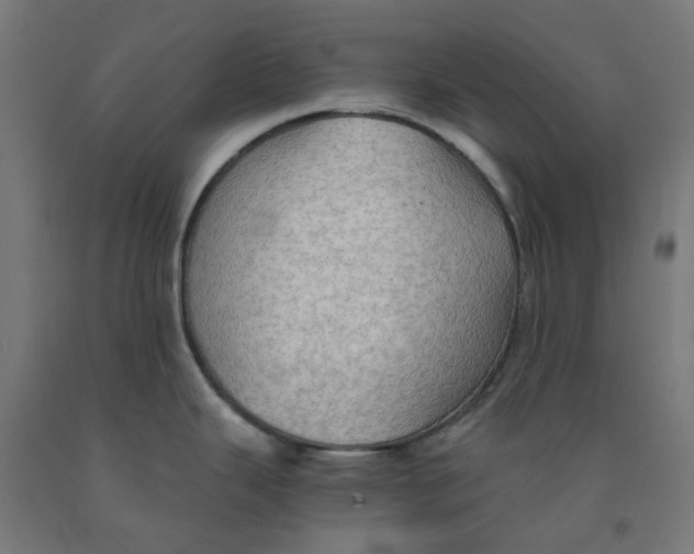 X0000092001343200709271500