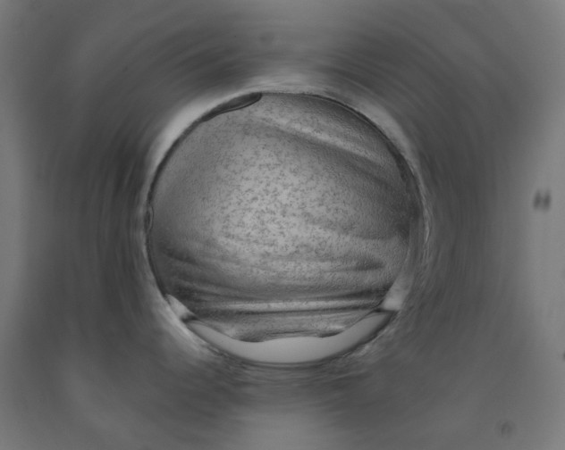 X0000092001344200709271500