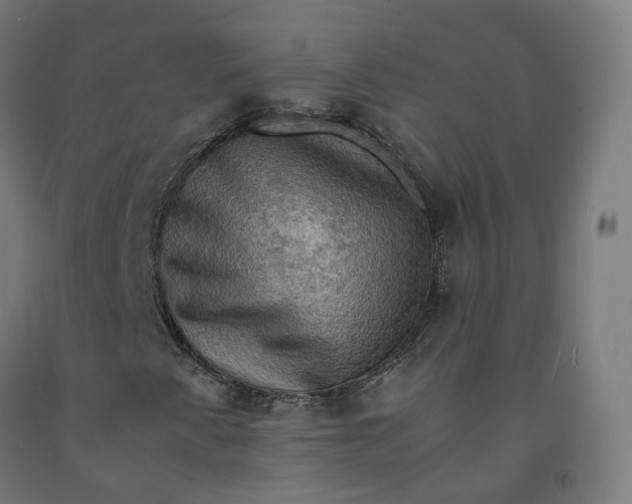 X0000092001345200709271459