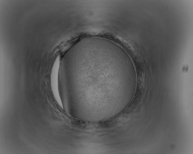 X0000092001349200709271459