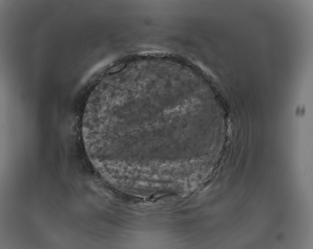 X0000092001351200709271459